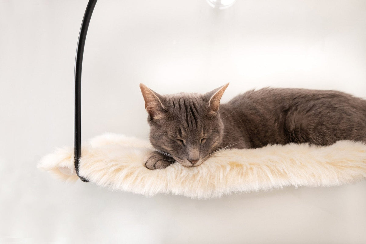 Stødig vindushengekøye for kattens utkikk med sugekopper