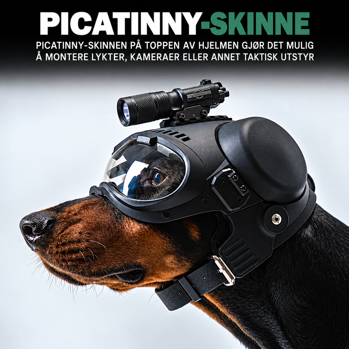 Tøff taktisk hjelm til hund for tur og foto med briller
