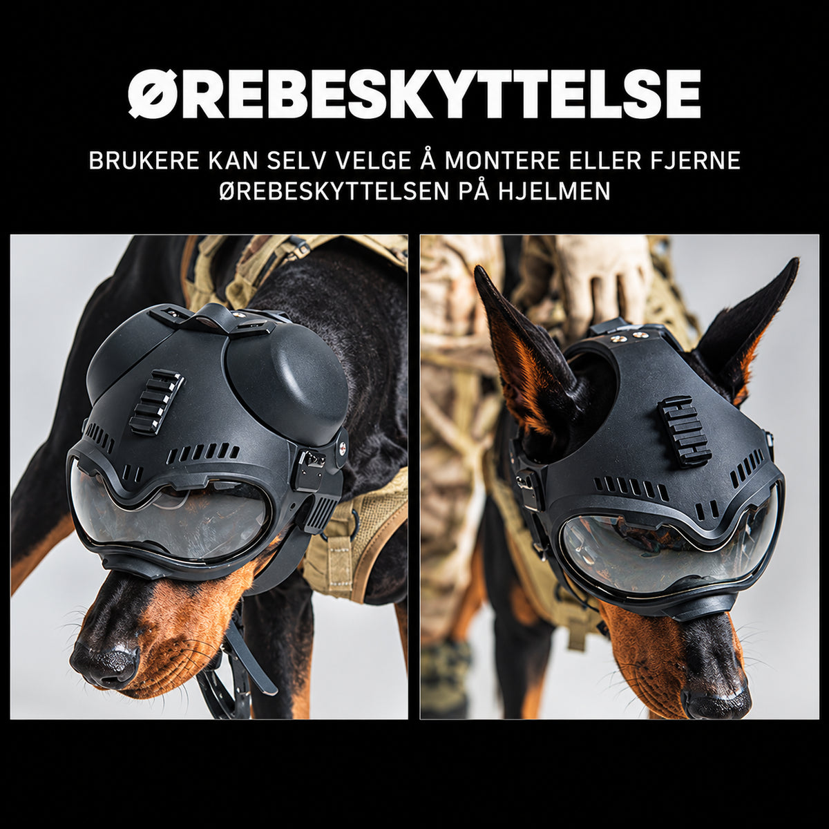 Tøff taktisk hjelm til hund for tur og foto med briller