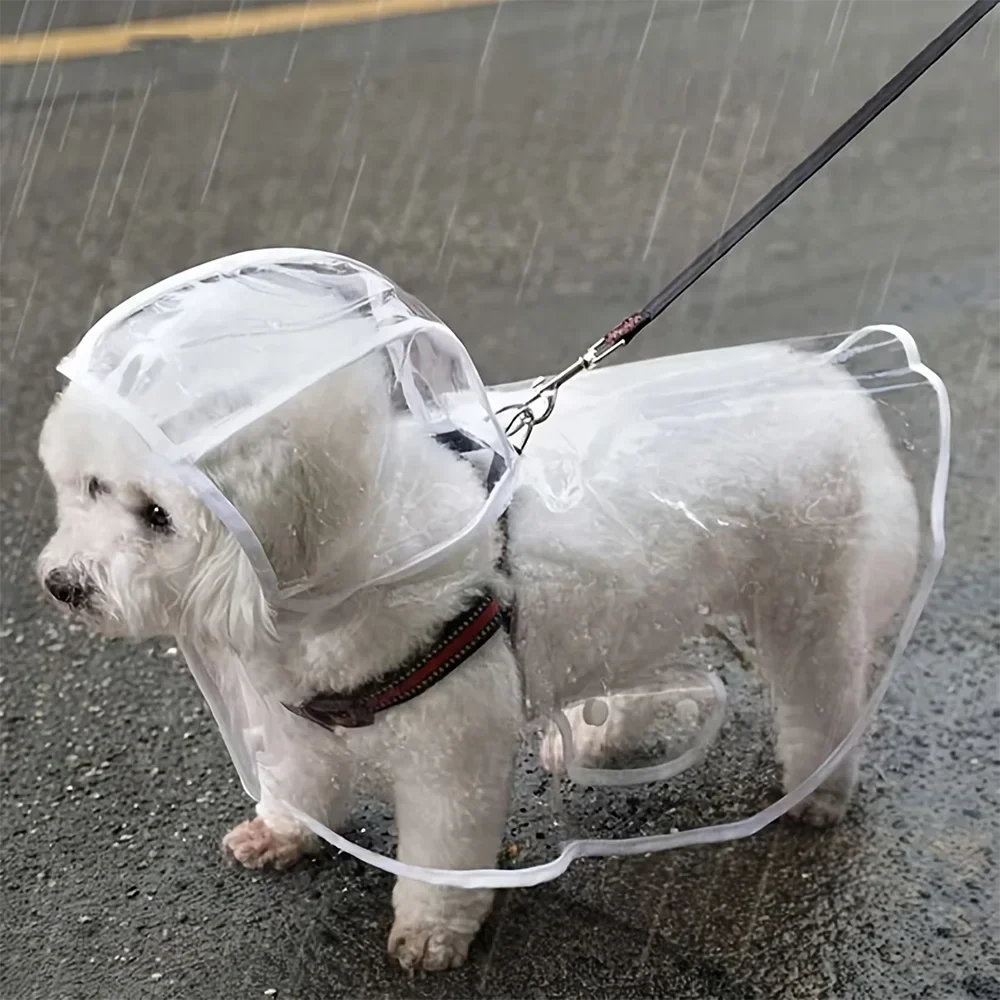 Gjennomsiktig regnjakke til hund for våte turer med hette