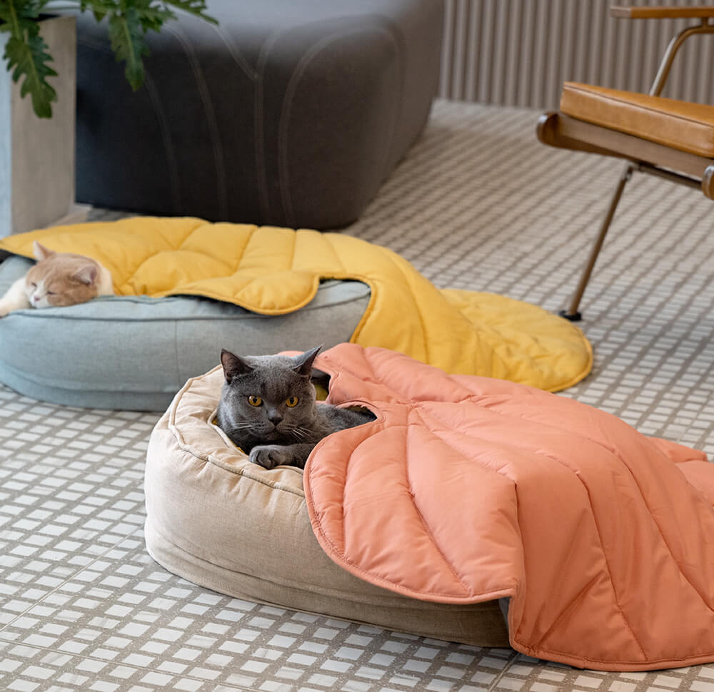 Vaskbart hundepledd for sofa og gulv med bladform