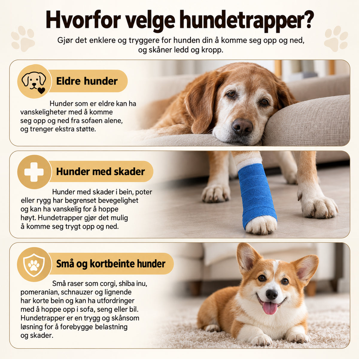 Myk hundetrapp for sofa og seng med sklisikker bunn