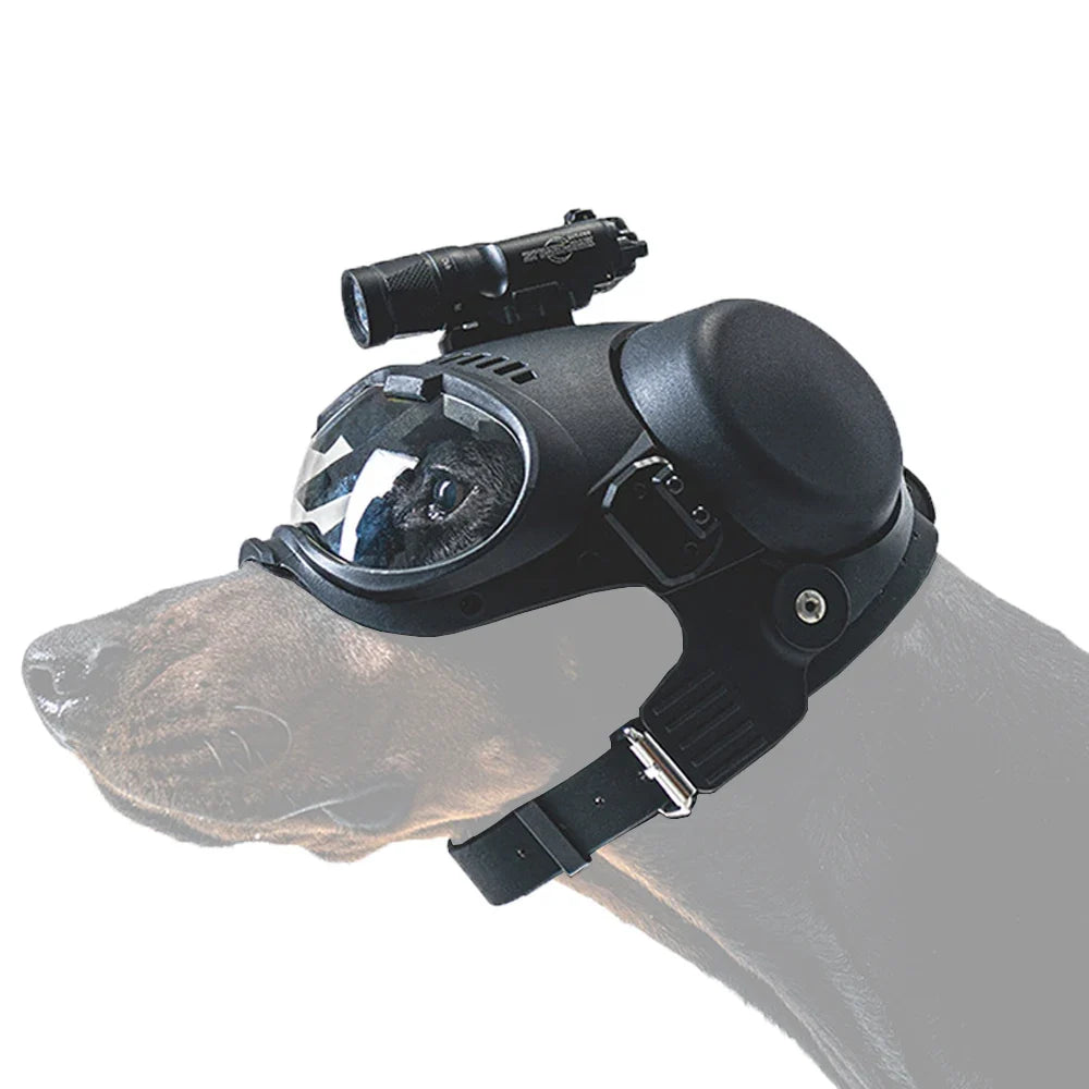 Tøff taktisk hjelm til hund for tur og foto med briller