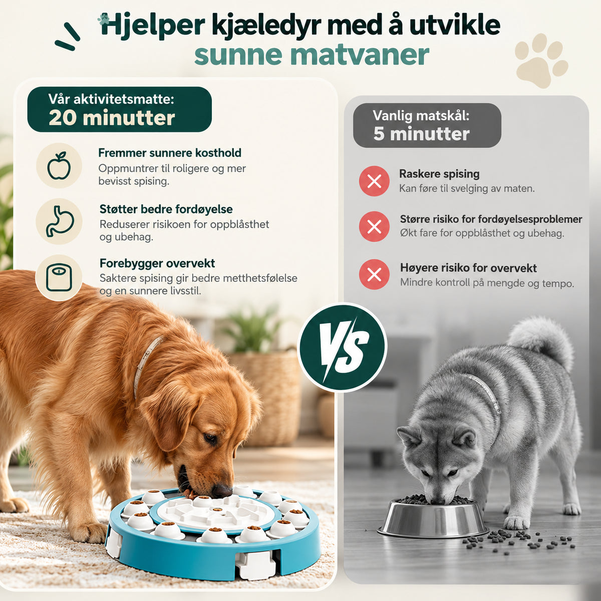 Smart aktivitetsbrett til hund for hjernetrim med 4 nivåer