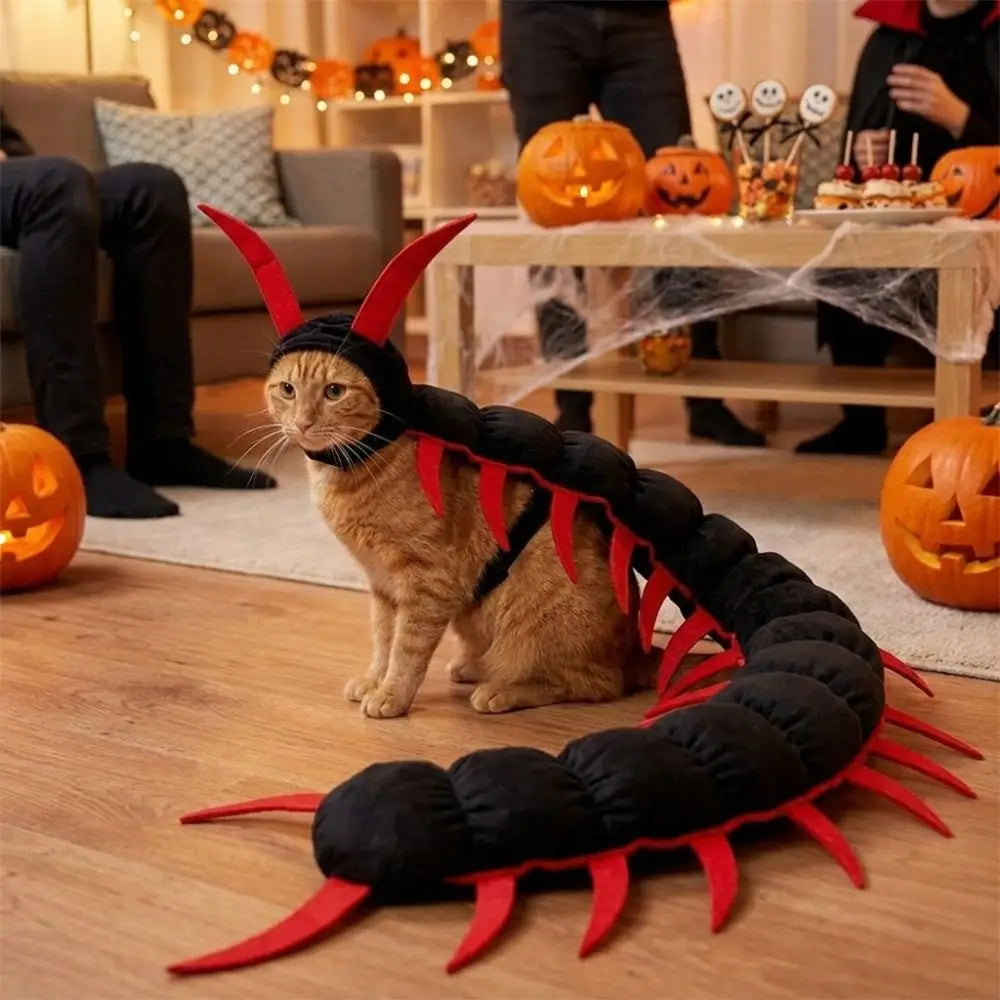 Søtt tusenbeinkostyme til katt for halloween med antenner