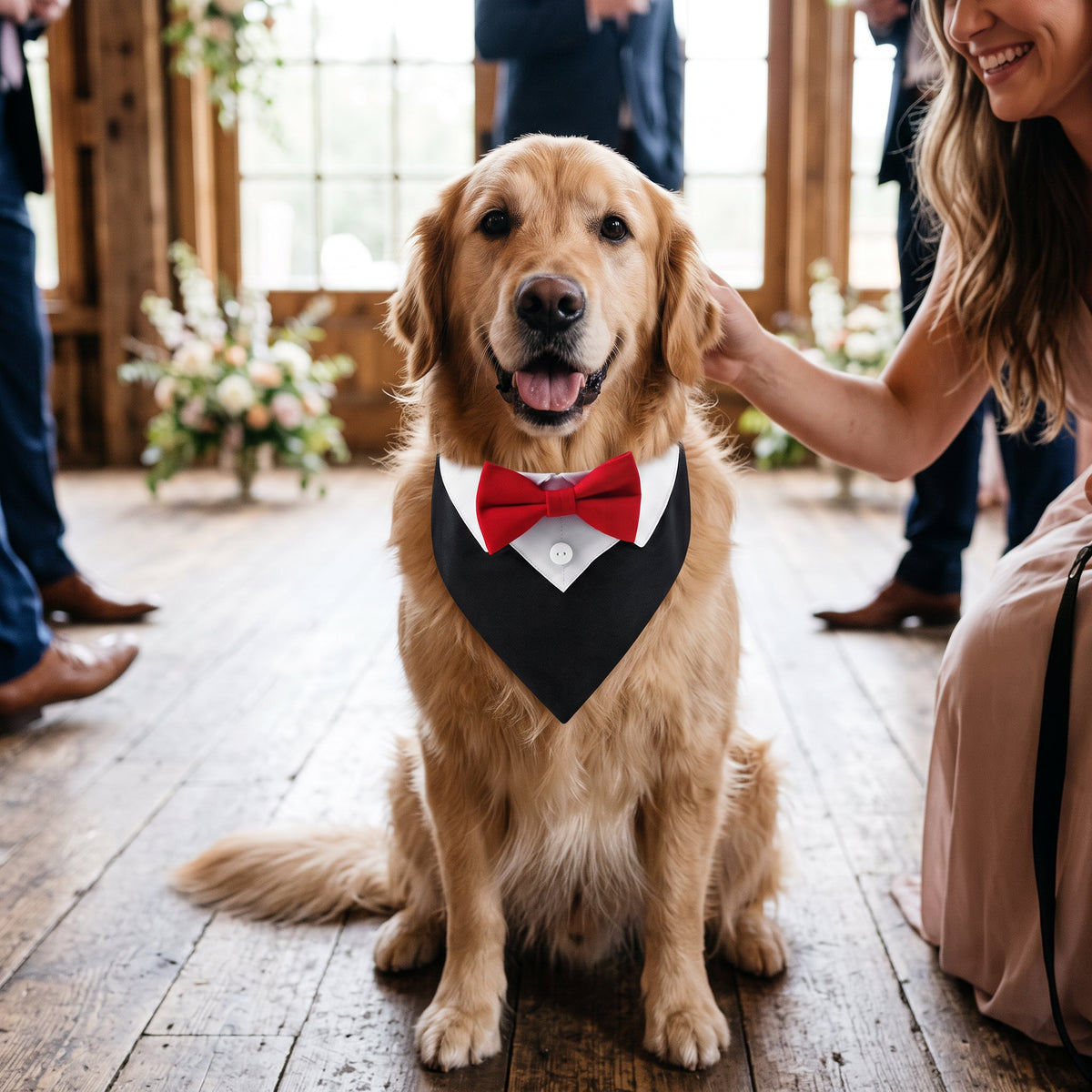 Elegant hundesløyfe for fest og bilder med justerbar lengde – Rød