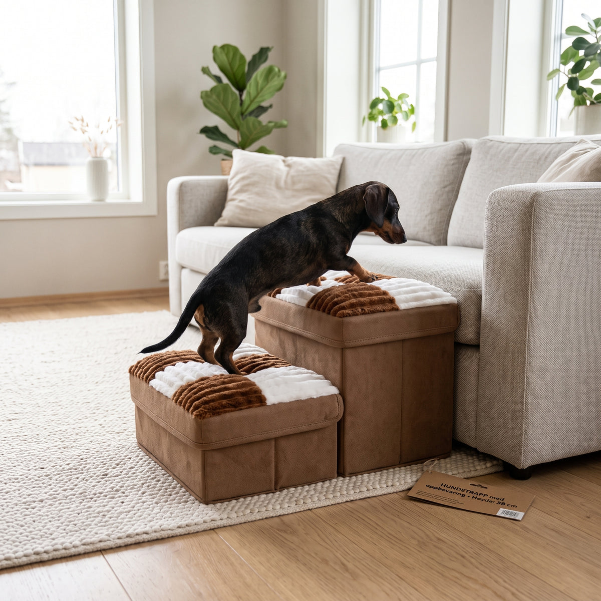 Rutete hundetrapp – Brun, 2 trinn