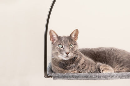 Stødig vindushengekøye for kattens utkikk med sugekopper