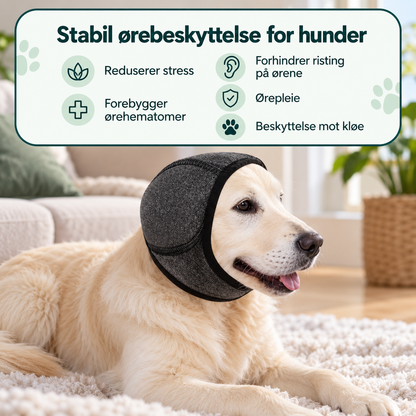 Myk ørehette til hund for bad og stell med lyddemping