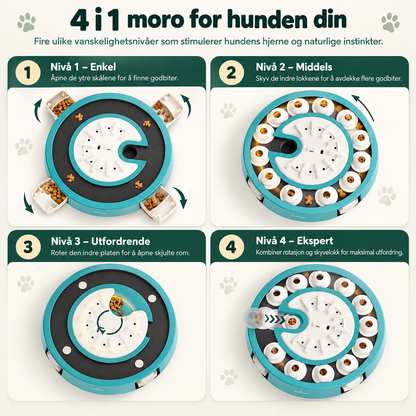 Smart aktivitetsbrett til hund for hjernetrim med 4 nivåer