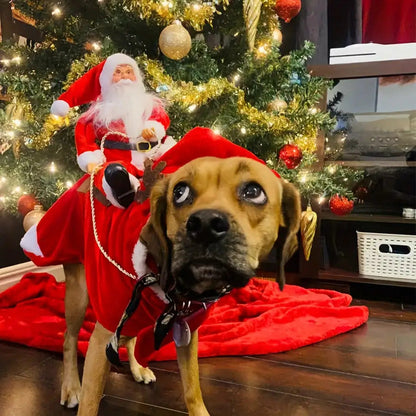 Morsomt julekostyme til hund for jula med nisse på ryggen