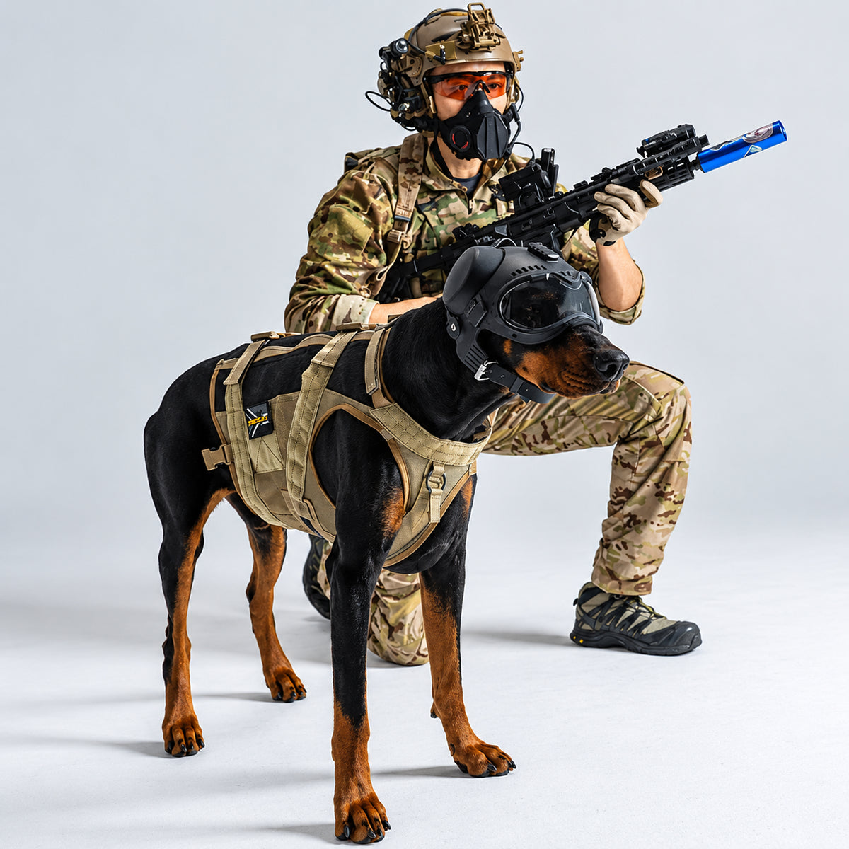 Tøff taktisk hjelm til hund for tur og foto med briller