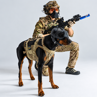 Tøff taktisk hjelm til hund for tur og foto med briller