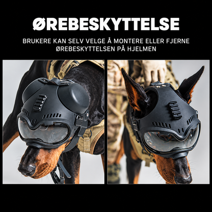 Tøff taktisk hjelm til hund for tur og foto med briller