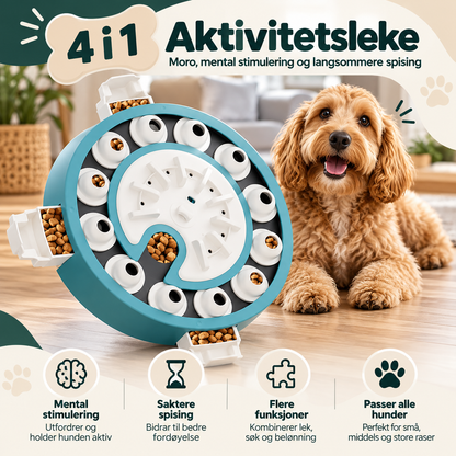 Smart aktivitetsbrett til hund for hjernetrim med 4 nivåer