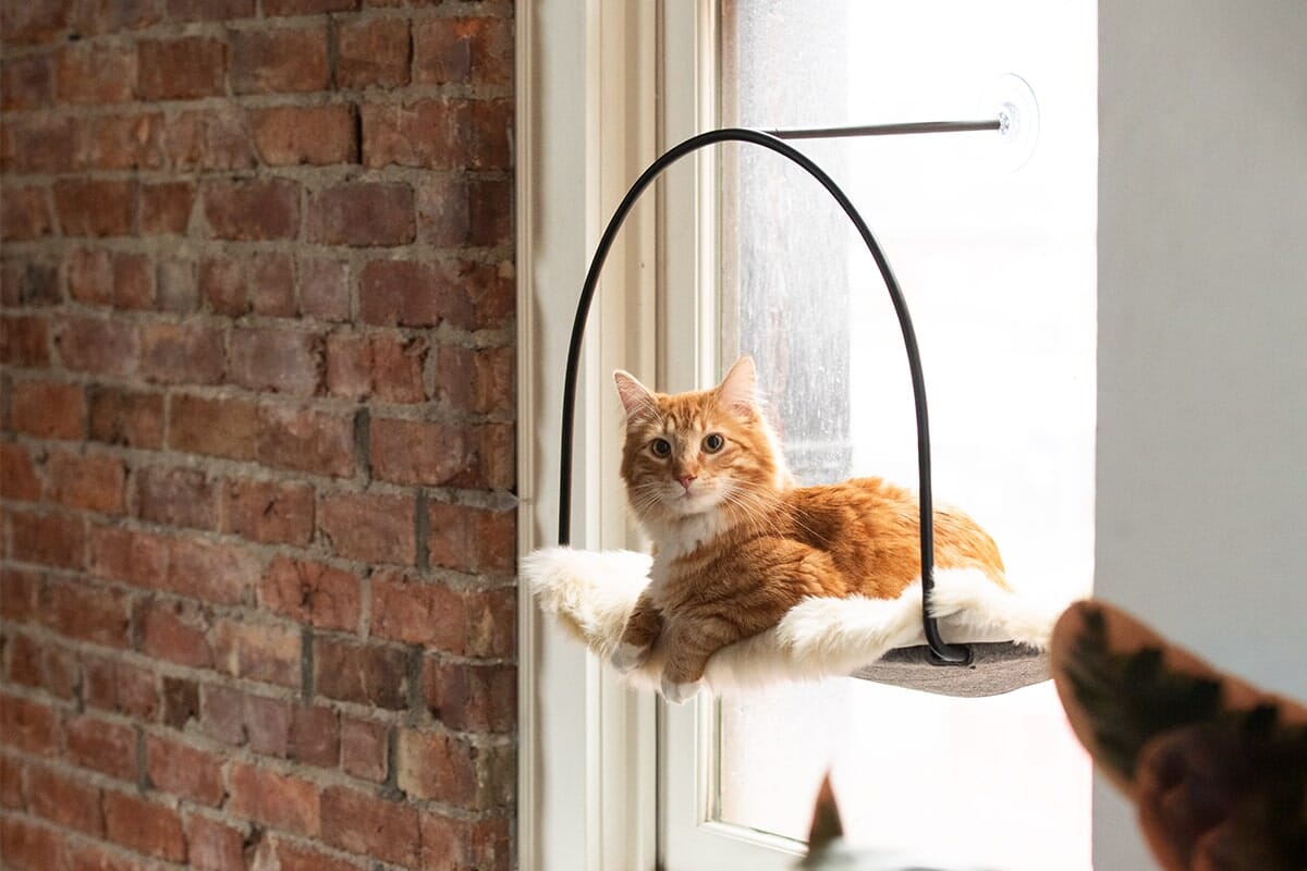 Stødig vindushengekøye for kattens utkikk med sugekopper