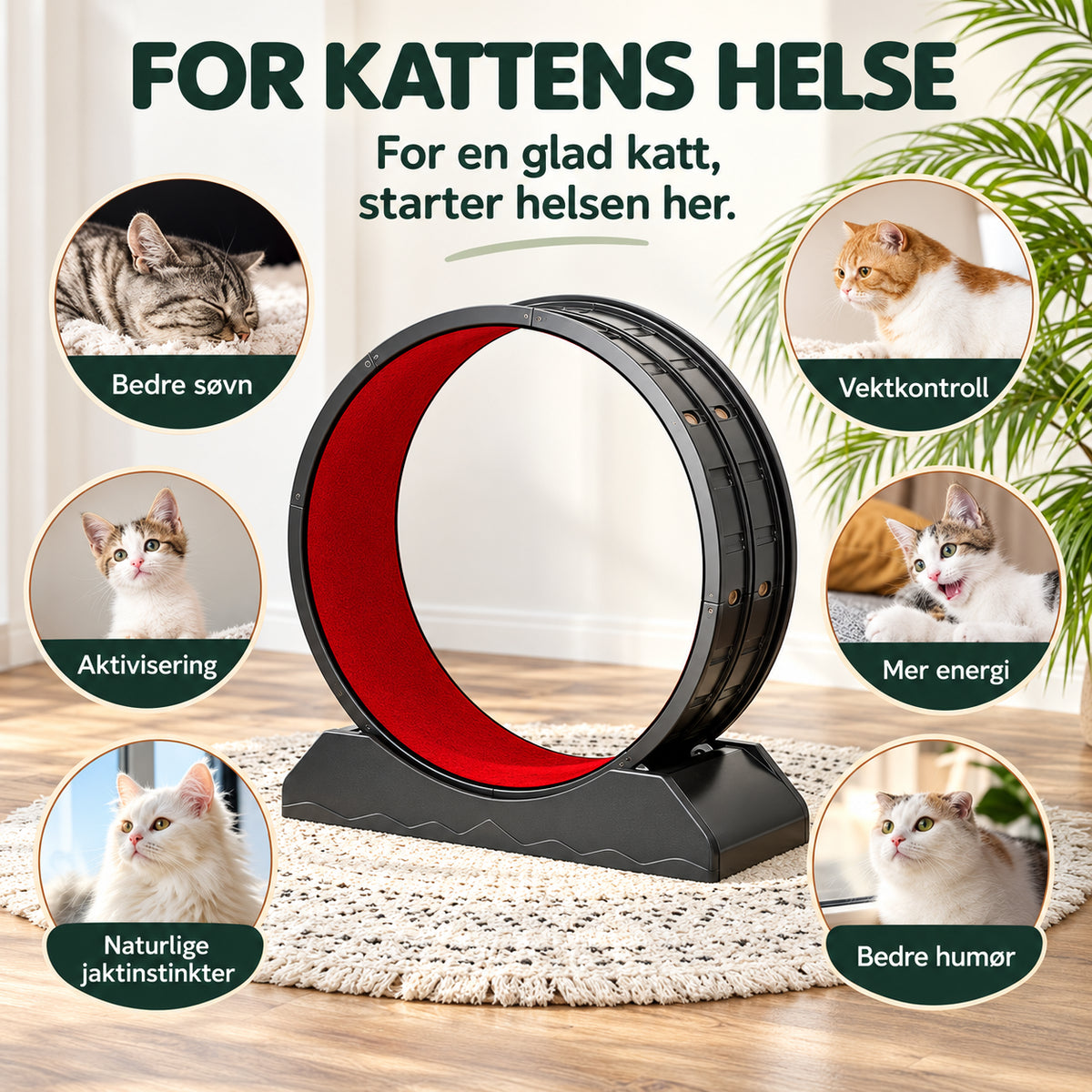 Stort treningshjul til katt for innendørs løping med brems