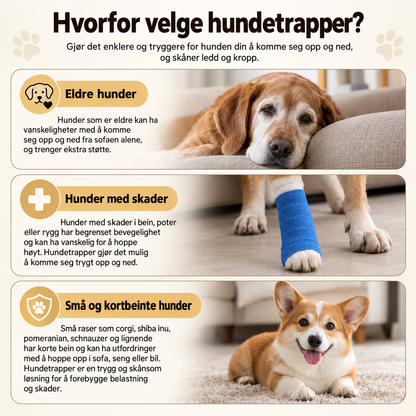 Myk hundetrapp for sofa og seng med sklisikker bunn