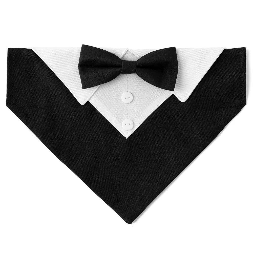 Elegant hundesløyfe for fest og bilder med justerbar lengde