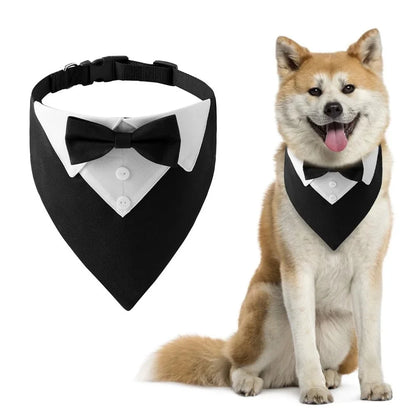 Elegant hundesløyfe for fest og bilder med justerbar lengde