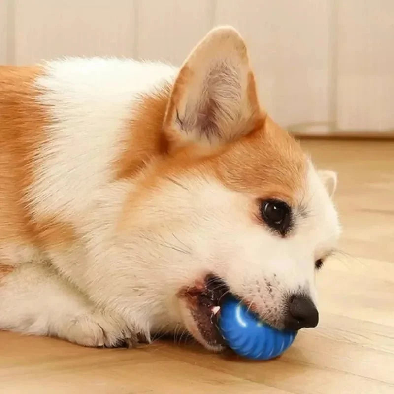 Automatisk lekeball til hund for jaktlek med robust skall