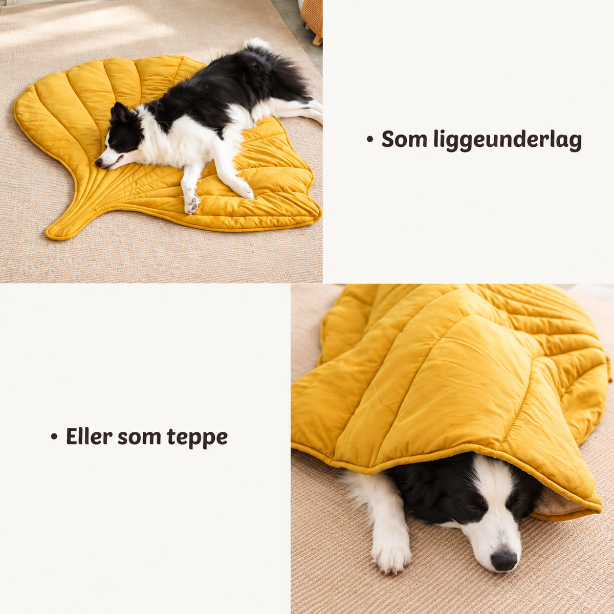 Vaskbart hundepledd for sofa og gulv med bladform
