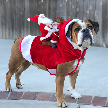 Morsomt julekostyme til hund for jula med nisse på ryggen