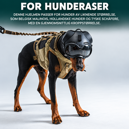 Tøff taktisk hjelm til hund for tur og foto med briller