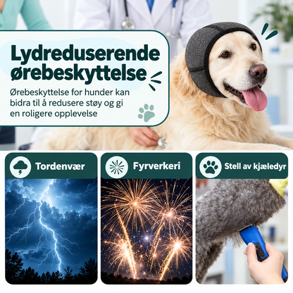 Myk ørehette til hund for bad og stell med lyddemping