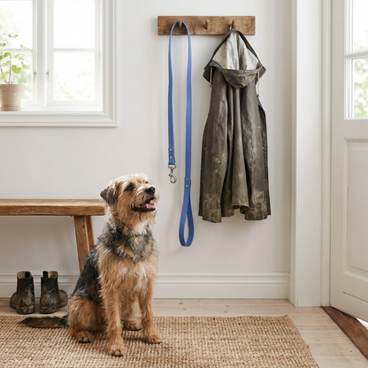 Hundebånd på knagg i gangen, hund klar for tur