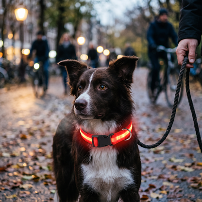 Lysende halsbånd til hund for kveldsturer med LED-lys – Rød